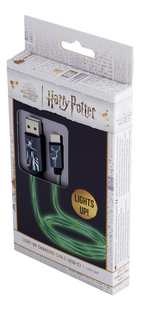 Oplaadkabel Harry Potter USB naar USB-C Patronus-Rechterzijde