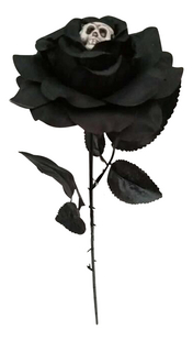 Rose noire avec tête de mort