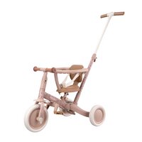 Little Dutch Driewieler Fairy Roze