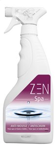 Realco Zen Spa anti-mousse 500 ml