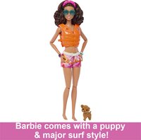 Barbie pop Beach Surf-Artikeldetail