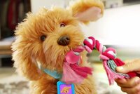 Peluche interactive Moji the Lovable Labradoodle-Image 2