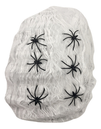 Spinnenweb wit