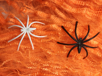 Spinnenweb oranje-Afbeelding 2