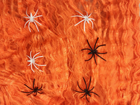Spinnenweb oranje-Afbeelding 3