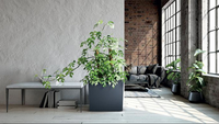 Bloembak Urbi Tower antraciet-Afbeelding 1