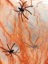 Spinnenweb oranje-Afbeelding 1