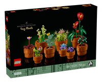 LEGO Icons 10329 Les plantes miniatures-Côté gauche