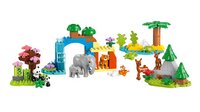 LEGO DUPLO Familles d’animaux sauvages 3-en-1 10446-Détail de l'article