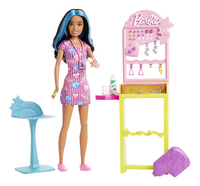Barbie speelset Skipper First Jobs - juwelenwinkel