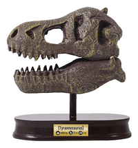 Buki France Museum Skull T-rex-Vooraanzicht