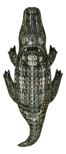 Bestway luchtmatras Alligator-Vooraanzicht