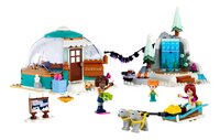 LEGO Friends 41760 Les vacances en igloo-Avant