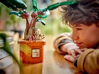 LEGO Harry Potter Mandragora 76433-Afbeelding 2