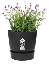 Elho pot de fleurs Greenville Ø 39 cm Living Black-Détail de l'article