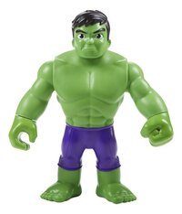 Marvel Spidey en zijn Geweldige Vriendjes - Hulk