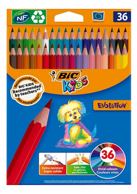 Bic crayon de couleur Kids Evolution - 36 pièces