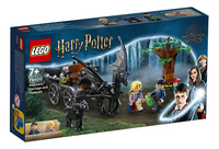 LEGO Harry Potter 76400 Zweinstein Rijtuig en Thestralissen