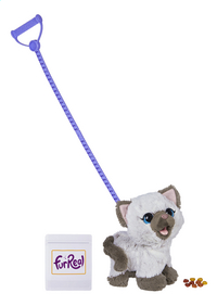 furreal chaton