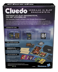 Cluedo Escape Game Verraad in Slot Swaenesteyn-Achteraanzicht