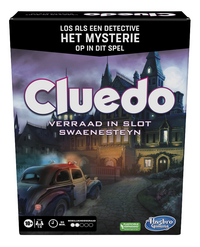 Cluedo Escape Game Verraad in Slot Swaenesteyn