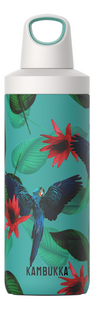 Kambukka isotherme drinkfles Reno 500 ml Parrots-Vooraanzicht