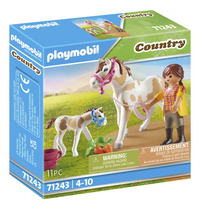 PLAYMOBIL Country 71243 Paard met veulen