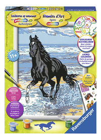Ravensburger Numéro d'art Cheval dans le ressac