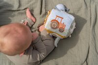 Little Dutch - Little Farm Activiteitenkubus-Afbeelding 1