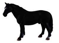 Schleich HORSE CLUB Lakeside paardenboerderij-Artikeldetail