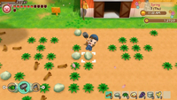 PS4 Story of Seasons: Friends of Mineral Town ENG/FR-Afbeelding 1