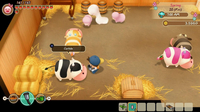 Nintendo Switch Story of Seasons: Friends of Mineral Town ENG/FR-Afbeelding 5