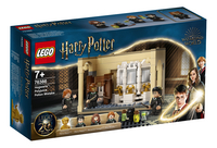 LEGO Harry Potter 76386 Zweinstein: Wisseldrank vergissing