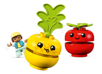 LEGO DUPLO 10982 Fruit- en Groentetractor-Artikeldetail
