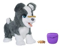 chien toufou bulldog