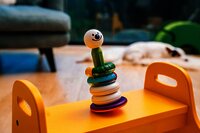 SmartMax Blokken My First Stacking Rings-Afbeelding 1