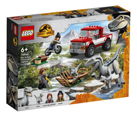 LEGO Jurassic World 76946 Blue & Beta velociraptorvangst