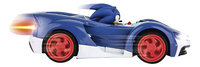 Carrera voiture RC Team Sonic Racing-Détail de l'article