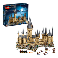 LEGO Harry Potter 71043 Le château de Poudlard-Détail de l'article