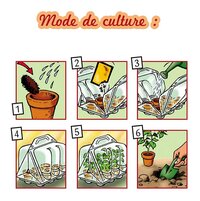 Zaaiset Mijn eerste moestuin-Afbeelding 1