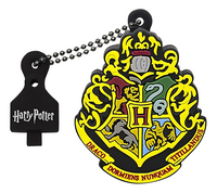 Emtec USB-stick Harry Potter Hogwarts 16 GB