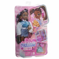 Barbie Dream Besties Brooklyn pop en accessoires