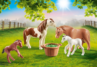 PLAYMOBIL Country 70682 Pony's met veulens-Afbeelding 1