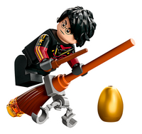 LEGO Harry Potter 76406 Le Magyar à pointes-Détail de l'article