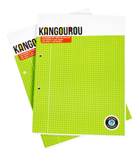 Kangourou cursusblok A4 geruit - 2 stuks
