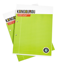 Kangourou cursusblok A4 commercieel geruit - 2 stuks