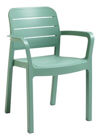 Keter chaise de jardin Tisara vert-commercieel beeld