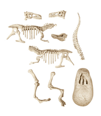 Clementoni Wetenschap & Spel Archeospel T-Rex-Vooraanzicht