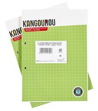 Kangourou bloc de cours 1 x 1 cm quadrillé - 2 pièces