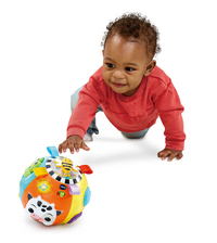 VTech Baby Koetje Boe Bal NL-Afbeelding 2